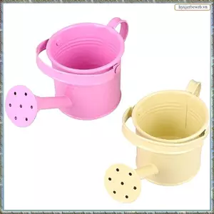 Có thể tưới nước bằng kim loại phù hợp cho cây trồng trong vườn tại nhà Hoa