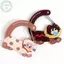 PUSKY 1 Cái Hoạt Hình Mèo Carabiner Acrylic Hình Túi Móc Khóa Động Vật Dễ Thương Bapa Charm Bé Gái Thẩm Mỹ Leo Móc Phụ Kiện VN