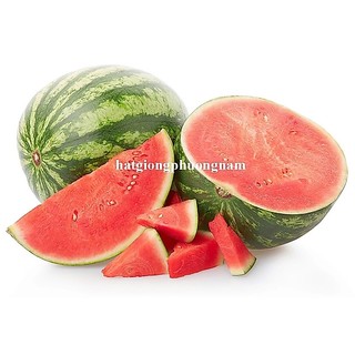 10 Hạt - Hạt Giống Dưa Hấu Thành Long (Sonya Thái ) F1 Phương Nam