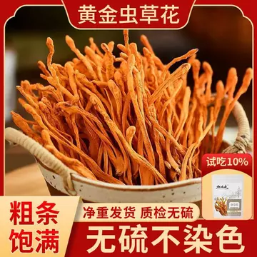 Đông Trùng Hạ Thảo Hoa Hàng Khô Chính Thức Cửa Hàng Đông Trùng Hạ Thảo Đông Trùng Hạ Thảo Tươi Không Cao Cấp Thương Mại Spore Đầu Nấm So