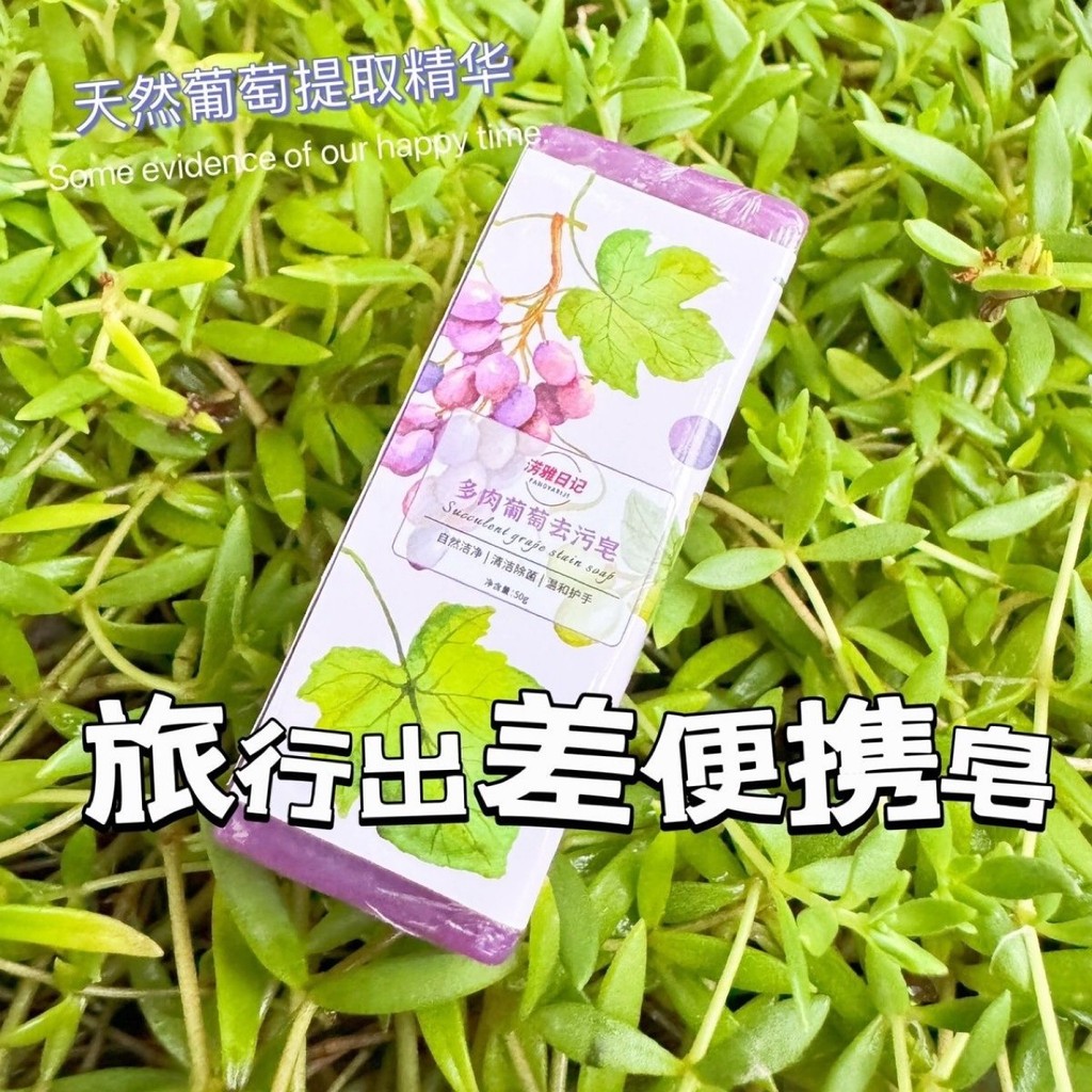 Di Động Du Lịch Giặt Xà Phòng Stain Remover Mini Hand Giặt Xà Phòng Loại Nhỏ Gọn