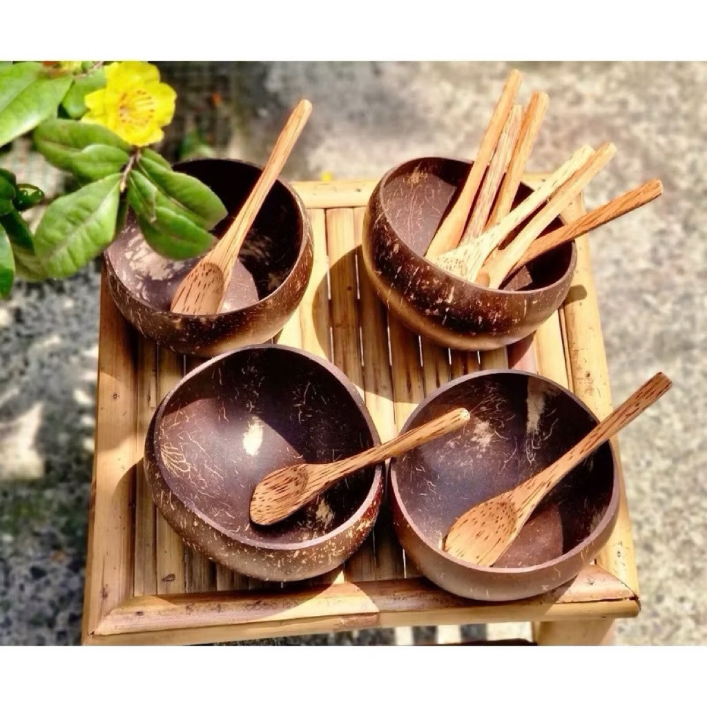 Chén gáo dừa, combo bát muỗng dừa, gáo dừa, chén ăn hạt ngủ cốc, chén gỗ,bát gỗ dừa