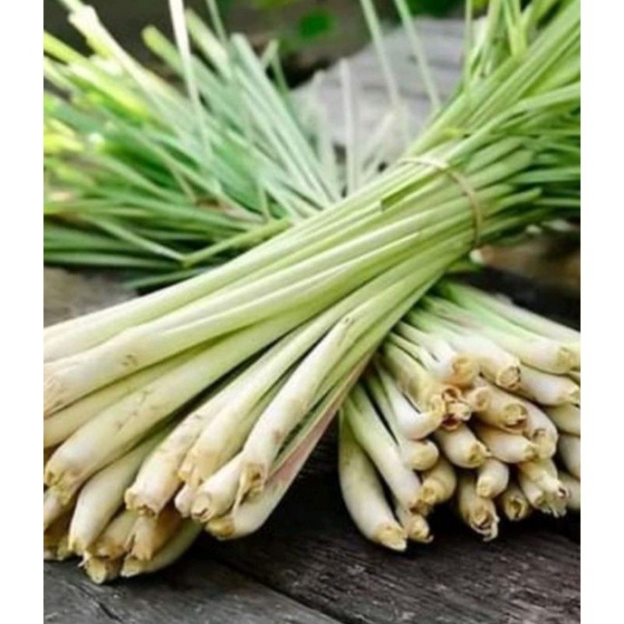 Cây Xả Giống, Xả Tươi | Shopee Việt Nam