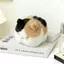 KANGN Cat Sang Trọng Móc Khóa, Kawaii Thiết Kế Hoạt Hình Hạt Dây Chuyền Kitty Nhồi Bông, Dễ Thương Mềm Lông Tơ Sang Trọng Túi Mèo Quyến Rũ Quà Tặng Sinh Nhật