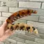 Kẹp Tóc Chuối Cho Nữ Họa Tiết Mờ Chống Trơn Trượt Móng Vuốt Tóc Phụ Kiện Thời Trang Cho Công Việc Và Tiệc [Mina]