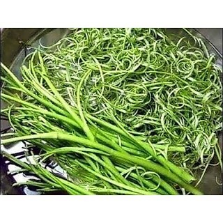 Dụng cụ chẻ rau muống siêu nhanh siêu tốc, dao chẻ rau 26cm