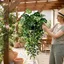 Cây treo Ivy nhân tạo JUNYUE88US, Bộ lá Mandala Mandala Monstera thực tế, Chống tia cực tím Chống phai màu Giỏ treo cây nho giả chống thấm nước Trang trí nội thất