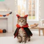QEARY Thú Cưng Bát Trang Phục, Có Lỗ Tai Sừng Chó Áo Tím, Sừng Mèo Con Mũ Đứng Cổ Áo Vải Satin Mềm Dây Buộc Mèo Gothic Băng Đô Ảnh Đạo Cụ