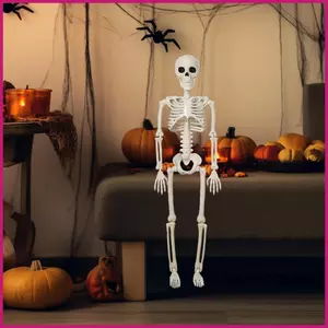 Trang trí bộ xương Halloween Toàn thân Khớp di chuyển Đồ trang trí xương Trang trí Bộ xương thực tế Trang trí cho shopidaevn
