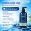 Sữa Tắm Gội Hương Nước Hoa Nam Tính Cuốn Hút CM24 FOR COOLMEN Sạch Sâu, Dưỡng Ẩm 500ml