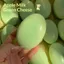 Đồ chơi giảm căng thẳng Honeydew Melon Squishy - Mềm mại, phục hồi chậm, chống căng thẳng
