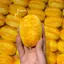 Squishy Bóp Đồ Chơi Đàn Áp 1 Cái Mềm Croissant Mèo Paw Chiên Bột Sti Đồ Chơi Tăng Chậm Cho Trẻ Em Người Lớn Quà Tặng Giải Trí