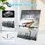 GCDHome 1 / 2 / 6 Chiếc Màn Hình Trong Suốt Đứng Sách Cho Kệ Để Bàn Giá Sách Acrylic Trong Suốt Lưu Trữ Văn Phòng HOT
