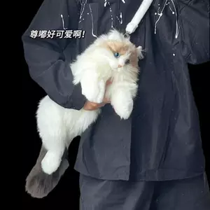 Bigapple Dễ Thương Mô Phỏng Mèo Nhà Thiết Kế Bapa Nữ Kawaii Mềm Mại Sang Trọng Hợp Thời Trang Bapa Ví Nữ Đi Học Quà Tặng Cho Bé Gái RDG