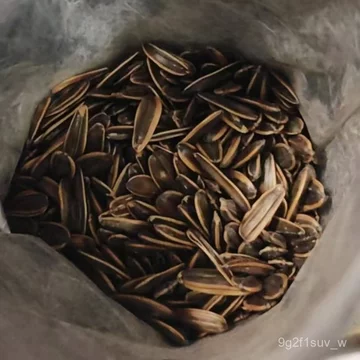 Hạt hướng dương vị hạt óc chó caramel Hán Đậu Hùng, hương thơm caramel lan tỏa, hạt rang, đồ ăn vặt giải trí, quà Tết.