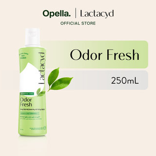 Bộ 5 chai Dung Dịch Vệ Sinh Phụ Nữ Lactacyd Odor Fresh Ngăn Mùi 24H 250ml/chai
