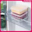 JASMINE 1 Chiếc Flip-top Bơ Blo Phô Mai Lát Hộp Bảo Quản Trong Suốt Tủ Lạnh Di Động Rau Củ Tươi Hộp Đựng JASMINE