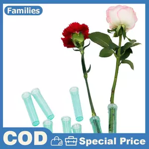 20 Chiếc Nhựa Tươi Hoa Dinh Dưỡng Ống Có Nắp Ống Bảo Quản Nước Giữ Tươi Thủy Canh Hộp Đựng Hoa Ống Nước