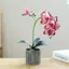 XUAN Lụa Bướm Phong Lan Hoa Nhân Tạo Cây Cảnh Phong Lan Phalaenopsis Chậu Hoa Nhà Trang Trí Đám Cưới Sắp Xếp Cây Giả VN