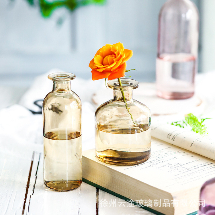 Trong Suốt Bình Thủy Tinh Trong Suốt Nhiều Màu Sắc Sáng Tạo Đóng Thủy Canh Hoa Sắp Xếp Hoa Tàu Trang Trí Phòng Khách Đồ Trang Trí RMA6