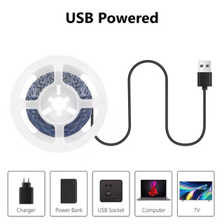 DC 5V USB Dải LED 2835 COB Diode Băng LED Ruy Băng Đèn Gương TV Đèn Nền Chiếu Sáng Trang Trí Phòng Đèn Dây LED Đèn 1M-5M