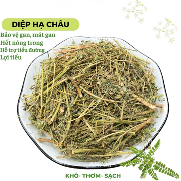 Cây Diệp hạ châu khô Cây Chó đẻ răng cưa hạ men gan giảm sỏi thận tiết niệu thơm xanh DHC