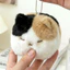 KANGN Cat Sang Trọng Móc Khóa, Kawaii Thiết Kế Hoạt Hình Hạt Dây Chuyền Kitty Nhồi Bông, Dễ Thương Mềm Lông Tơ Sang Trọng Túi Mèo Quyến Rũ Quà Tặng Sinh Nhật