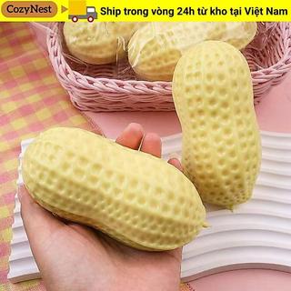 COZYNEST Bóp Fidget Toy, Đồ chơi Squishy đậu phộng mô phỏng phục hồi chậm, Đồ chơi giải nén mềm sáng tạo Quà tặng ủng hộ bữa tiệc