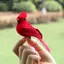 {AKIN} 2 / 4 / 6 Chiếc Tượng Chim Đỏ Trang Trí Sân Vườn Nhà Mô Phỏng Chim Lông Vũ Có Kẹp Cho Sân Vườn Trang Trí Cây Thủ Công {a}
