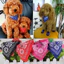 Thú Cưng Mèo Cổ Chó Nhỏ Có Thể Điều Chỉnh Khăn Tam Giác Khăn Cổ Khăn Bandana