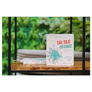 Sách - Tái Tạo Tổ Chức: Phá vỡ rào cản, thổi bùng sinh khí (Reinventing Organizations) - Frederic Laloux