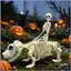 Halloween Bộ Xương Đồ Trang Trí Trẻ Em Cưỡi Chó Bộ Xương Trang Trí Halloween Đồ Trang Trí Ngoài Trời Cho Sân Vườn mueadsyvn