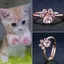 Nhẫn mở móng vuốt mèo có thể điều chỉnh dành cho nữ Nhẫn đeo tay Zircon pha lê vàng hồng [Mina]