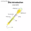 SRVN Giảng dạy Cơ học Vật lý Chống đỡ Newton Gram 14005 Động lực kế hình trụ 1N / 2.5N / 5N / 10N Cân bằng lò xo Hình ống.