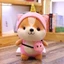 Gấu bông sóc shiba cosplay siêu dễ thương