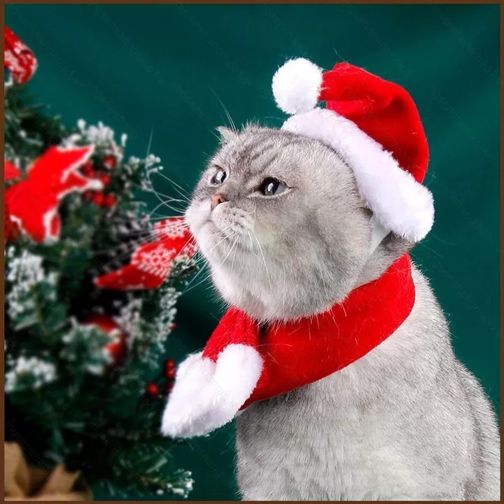 Mũ chó khăn quàng cổ mèo Bộ đồ Giáng sinh Thú cưng đẹp trai Ông già Noel đỏ chó mèo Xmas trang phục thú cưng phù hợp với