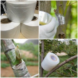 Băng keo ghép cây tự dính GA345 khổ 3cm chiều dài 150m phù hợp cho việc ghép các loại cây ăn quả và cây cảnh