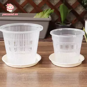 Chậu cây mọng nước PWSEND, trong suốt có khay Chậu hoa lan, Hộp đựng tăng trưởng cây bằng nhựa kiểm soát rễ thoáng khí đơn giản Trang trí sân vườn nhà