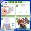 10Pack 2.5 "Chậu tưới nước nhỏ cho cây trồng trong nhà với 10 nhãn cây có mực nước và lỗ thoát nước