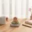 Lịch để bàn văn phòng GE 2027 với đèn LED 3D để lập kế hoạch hiệu quả VN