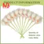 Calla Lily 10 đầu Latex Real Touch KC51 Trắng