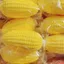 Đồ chơi Squishy ngô thực tế Giảm căng thẳng vui nhộn cho trẻ em và người lớn - Chơi cảm giác mềm mại & nảy nở