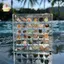 Hộp trưng bày vỏ sò từ tính Acrylic Seashell Clear Starfish Trinket Organizers 36 / 64 / 100 Lưới Hộp đựng vỏ sò Mini ELWW