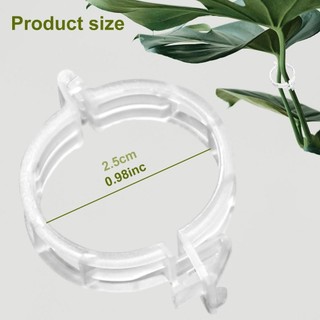 Kẹp cây nhựa an toàn nâng cấp 2026 Kẹp hỗ trợ cây mùa hè Kẹp cố định cây leo trong vườn Kẹp hỗ trợ cây trồng Kẹp vườn có thể tái sử dụng 50 chiếc Kẹp cà chua 100 chiếc 200 chiếc dễ sử dụng