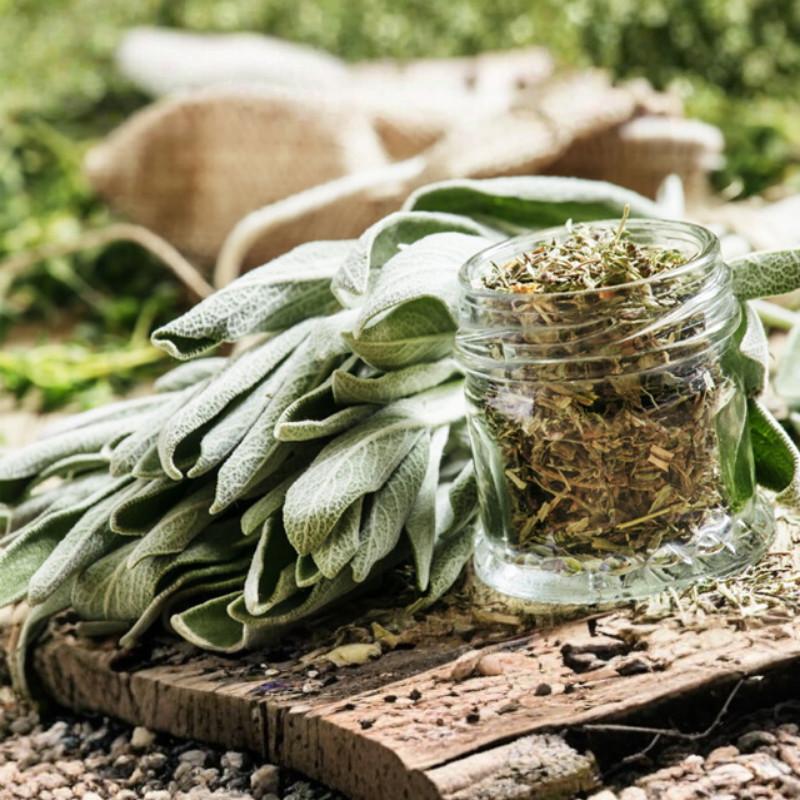 Lá Xô Thơm Atlas Garden Sage Leaves 21g, Gia Vị Nhập Khẩu Chính Hãng Chuẩn Vị Nhà Hàng