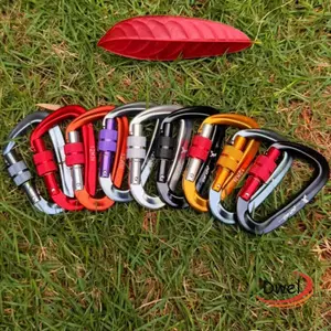 Carabiner an toàn chuyên nghiệp DWEL, Thiết bị bảo vệ leo núi 48 * 80mm Móc chìa khóa hình chữ D, Khóa leo núi bằng nhôm 12KN 7 màu