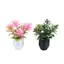 MJnmc Thu Nhỏ Chậu Cây Trang Trí Tỉ Lệ 1: 12 Nhà Búp Bê Mini Cây Cảnh Mô Hình Trang Trí Đồ Chơi Micro Cảnh Phong Cảnh Đạo Cụ Ảnh Mới