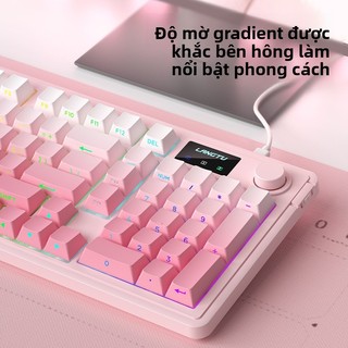 Bàn phím ba chế độ Bluetooth không dây Wolf Tu L98 RGB Laptop Trò chơi văn phòng Phim có dây Bàn phím im lặng