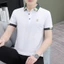 Áo Sơ Mi Tay Ngắn Nam Nửa Tay Đáy Ve Áo Nửa Tay Nam Top Quần Áo Tay Ngắn Áo Sơ Mi polo Nam 45RY