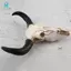 Nhựa Longhorn Bò Đầu Lâu Đầu Treo Tường Trang Trí 3D Động Vật Hoang Dã Điêu Khắc Các Bức Tượng Thủ Công Sừng Cho Gia Đình Trang Trí Halloween